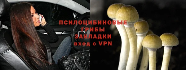 соль курить ск Алексеевка