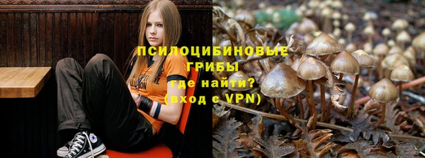 mdpv Алексин